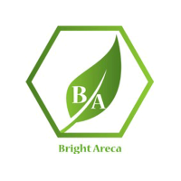 Logo-bright-areca